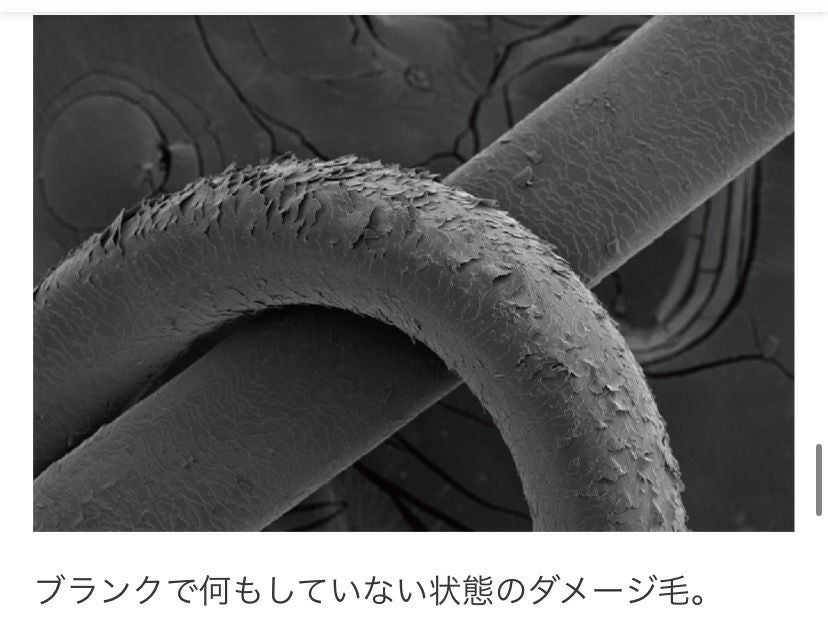 ガルバ ＣＭＣケアシャンプー 400ｇ＜パウチ＞