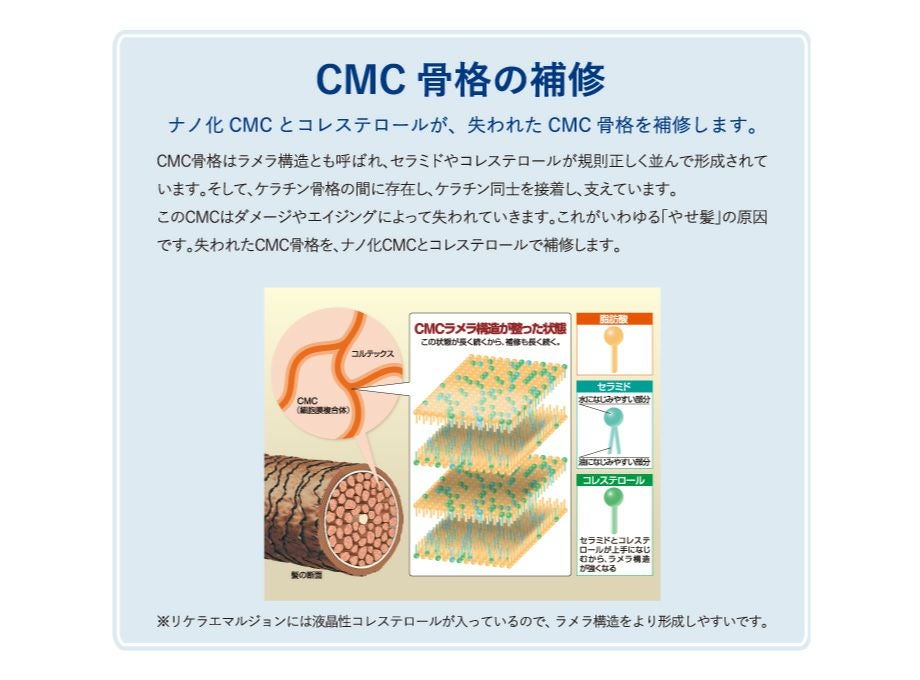 リケラエマルジョン【リトルサイエンティスト】送料無料・正規品