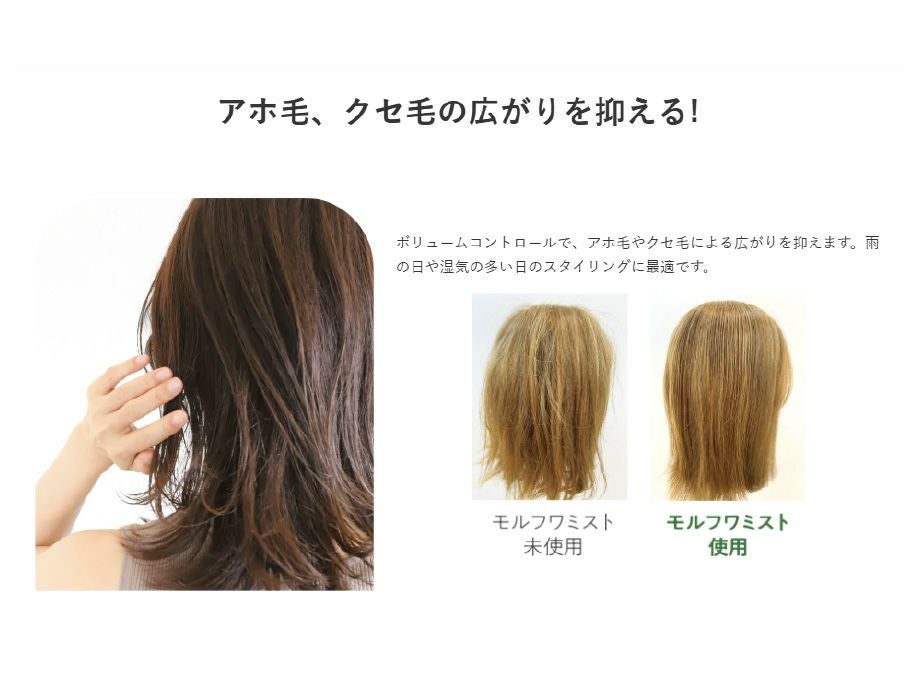 モルフワミスト【リトルサイエンティスト】送料無料・正規品