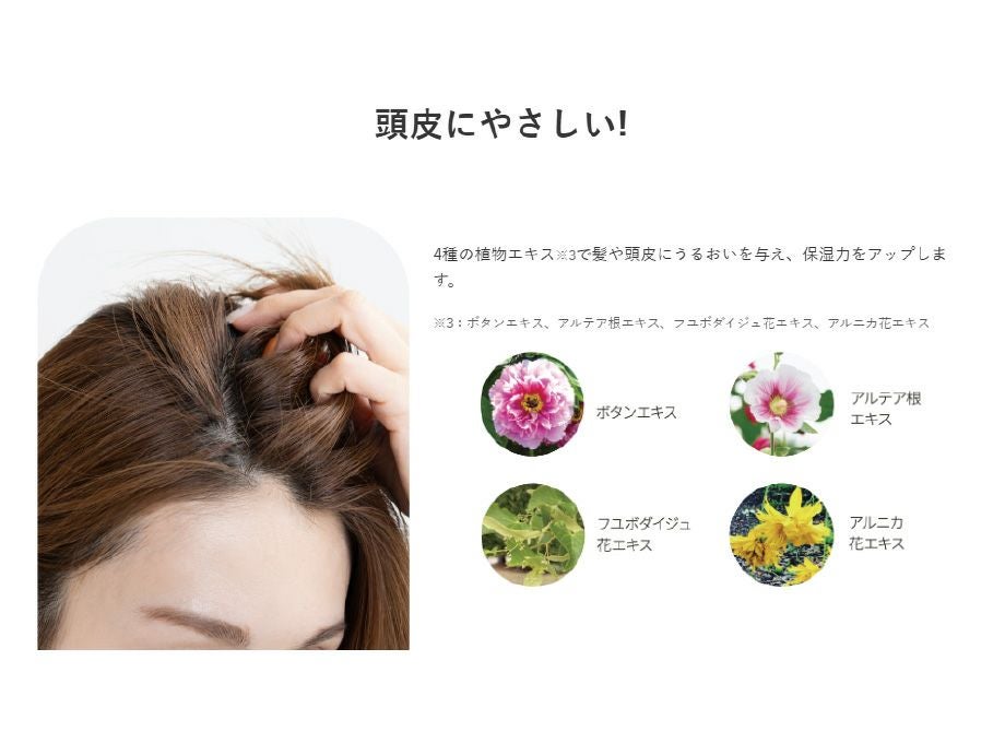 モルフワミスト【リトルサイエンティスト】送料無料・正規品